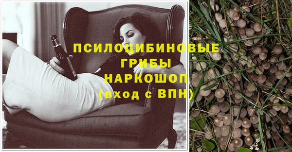 дживик Алексин